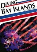 Diving Bay Islands