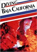 Diving Baja California
