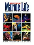 Guide to Marine Life: Caribbean, Bahamas, Florida