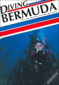 Diving Bermuda