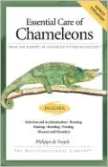 Essential Care of Chameleons