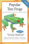 Popular Tree Frogs