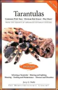 Tarantulas: Common Pink-Toes, Mexican Red-Knees, Plus More!