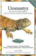 Uromastyx: Plus Other Common Agamids