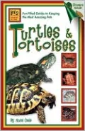 Turtles and Tortoises