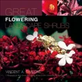 Great Flowering Landscape Shrubs