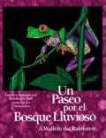 Un Paseo por el Bosque Lluvioso (A Walk in the Rainforest)