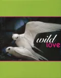 Wild Love
