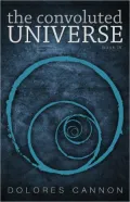 The Convoluted Universe Book Four
