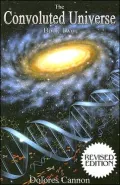 Convoluted Universe Book Two, Vol. 2