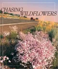 Chasing Wildflowers