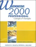 Windows 2000 Professional