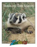 Skunks and Their Relatives