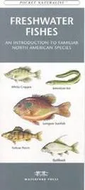 Freshwater Fishes: Reference Cards - James Kavanagh - Paperback - POCKET