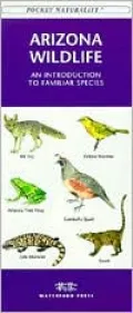 Arizona Wildlife