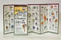 The Ultimate Guide to Shells and Beach Life of the Texas Gulf Coast