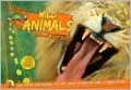 Ripley Twists: Wild Animals
