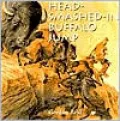 Head Smashed In Buffalo Jump