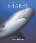 Sharks