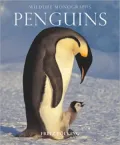 Penguins