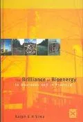 Brilliance of Bioenergy In Business and in Practice
