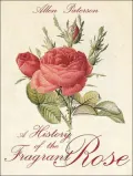 A History of the Fragrant Rose