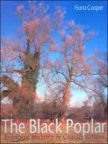 The Black Poplar: Ecology, History, and Conservation