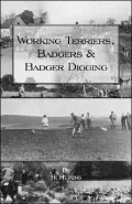 Working Terriers, Badgers and Badger Dig