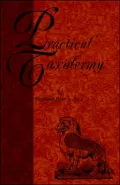 Practical Taxidermy - a Manual of Instru