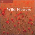 Wild Flowers