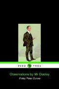 Observations by Mr Dooley