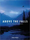 Above the Falls