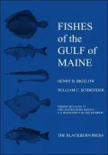 Fishes Of The Gulf Of Maine