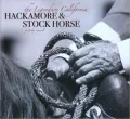 Legendary California Hackamore and Stock Horse
