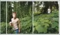 David Hilliard: Photographs