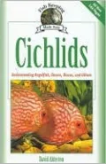 Cichlids: Understanding Your Angelfish, Oscars, Discus, and Others