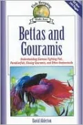 Bettas and Gouramis