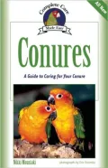 Conures: A Complete Guide to Caring for Your Conure
