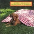 Where's the Puppy? Donde esta el Perrito?