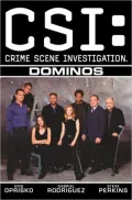 CSI: Crime Scene Investigation: Dominos