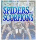 Spiders and Scorpions