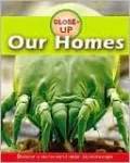 Insects
