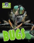 Bugs