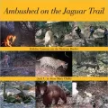 Ambushed On the Jaguar Trail: Hidden Cameras on the Mexican Border