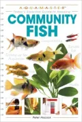 Community Fish