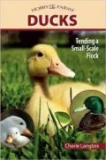 Ducks: Tending a Small Scale Flock for Pleasure and Profit