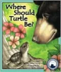 Where Should Turtle Be?