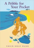 A Pebble for Your Pocket