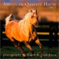 American Quarter Horse 2012 Calendar