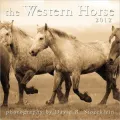 Western Horse 2012 Calendar